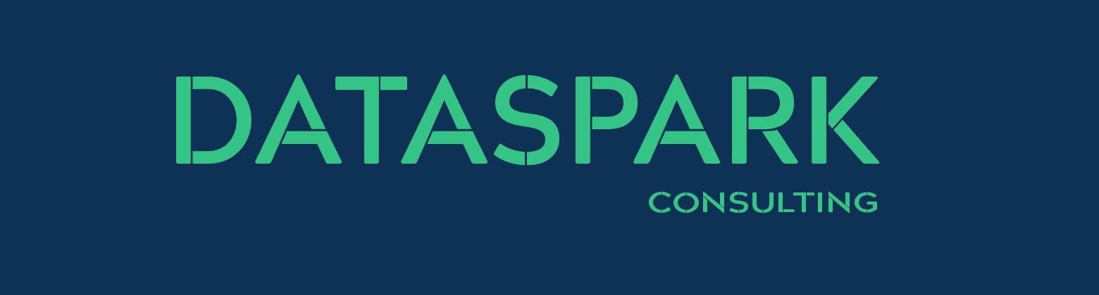 DataSpark Consulting